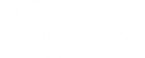 Ekinox Carpet Care